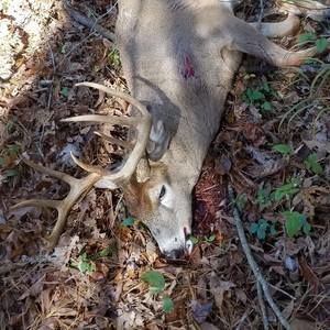 Meet your Posher, Justin